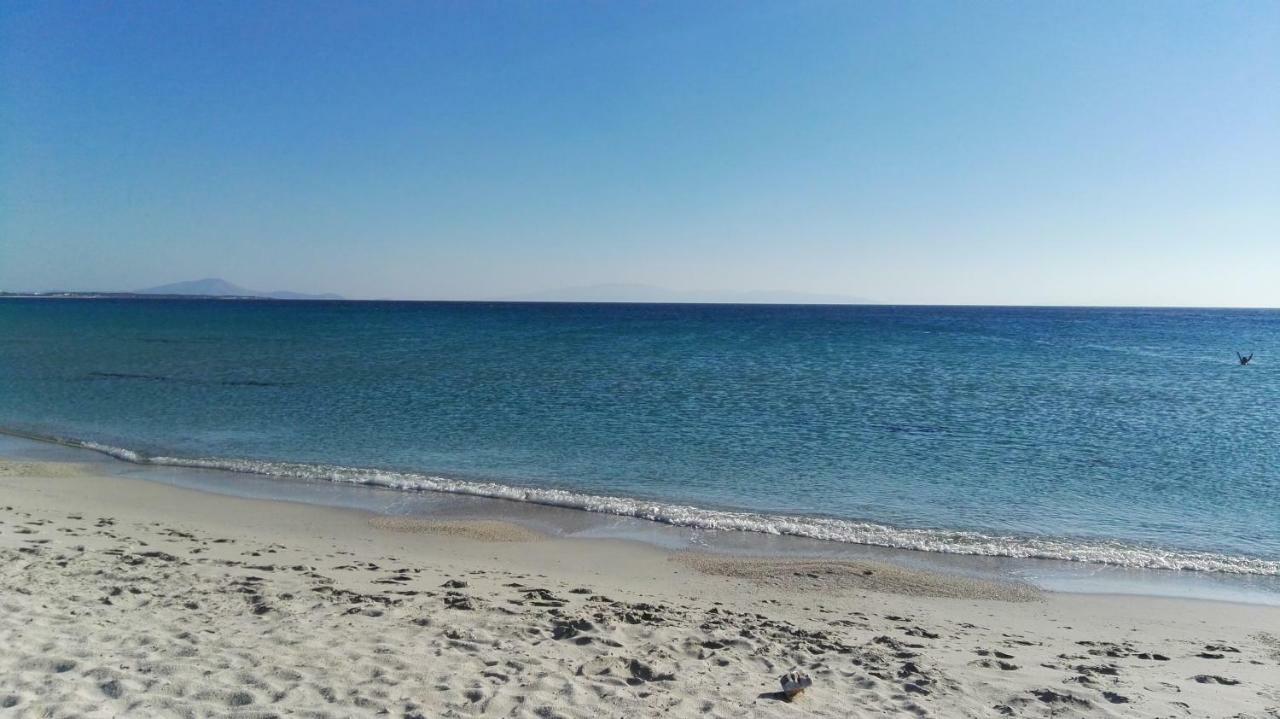 Naxos Is The Way Apartment Kastrákion Екстериор снимка