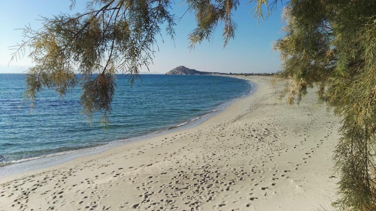 Naxos Is The Way Apartment Kastrákion Екстериор снимка